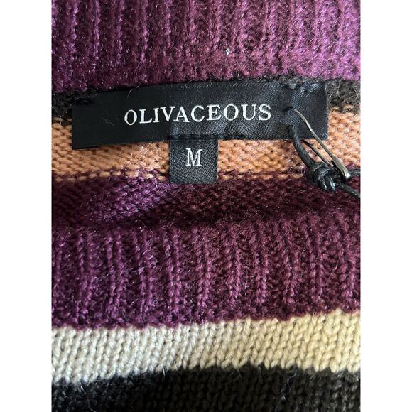 Olivaceous Women's Multicolored Long Sleeve Sweater NWT Size Medium - Picture 3 of 8